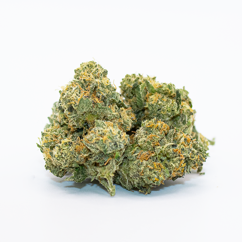 Close-up of Sherbacio THCA Flower Buds by Geek’d Extracts – Hybrid Strain